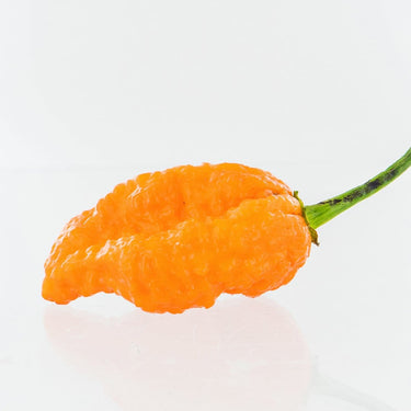 Ghorpion Peach Pepper Seeds - The Pepper Pantry (Formerly Marie Sharp's)